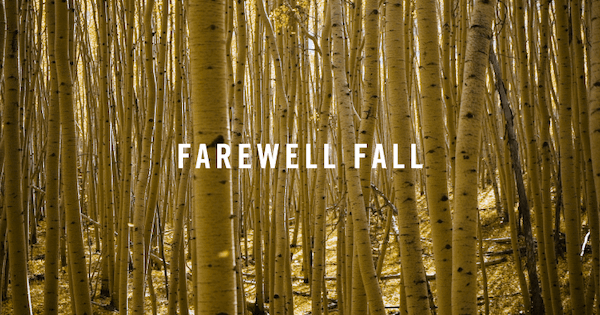 Farewell Fall